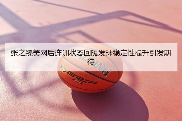 张之臻美网后连训状态回暖发球稳定性提升引发期待